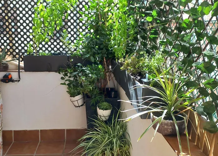 Atico Exclusivo En El Centro De